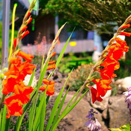 Ferienhaus Weps อาร์นบรุค ภายนอก รูปภาพ