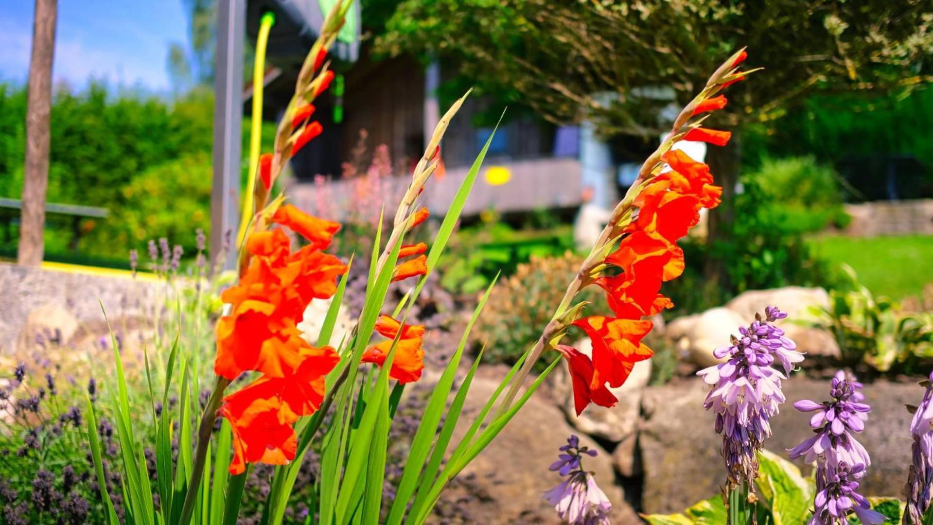 Ferienhaus Weps อาร์นบรุค ภายนอก รูปภาพ