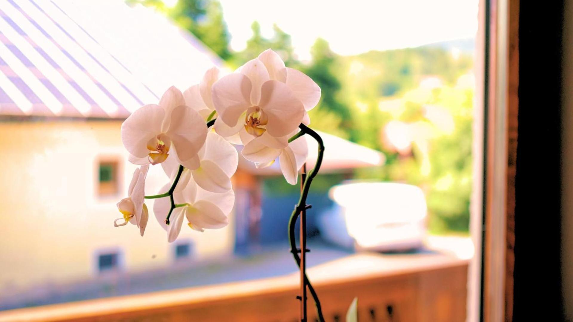 Ferienhaus Weps อาร์นบรุค ภายนอก รูปภาพ